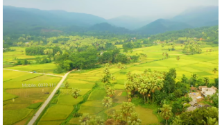 ĐỒI CỌ | XÓM ĐỒNG NGHÈ - ĐỘNG ĐẠT - PHÚ LƯƠNG - TN | FLYCAM BY THẾ HIỂN